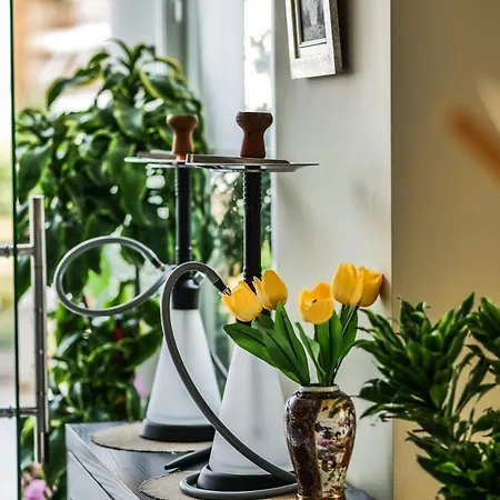 Hotel Oasis 4*